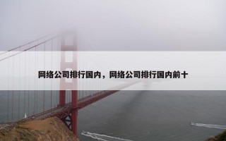 网络公司排行国内，网络公司排行国内前十