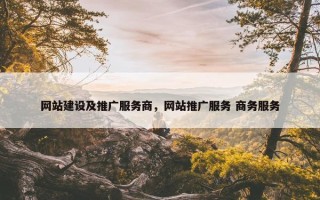 网站建设及推广服务商，网站推广服务 商务服务