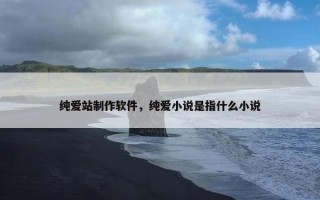 纯爱站制作软件，纯爱小说是指什么小说