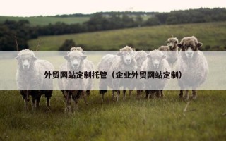 外贸网站定制托管（企业外贸网站定制）