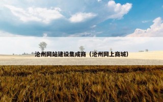 沧州网站建设集成商（沧州网上商城）