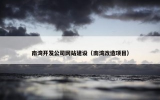 南湾开发公司网站建设（南湾改造项目）
