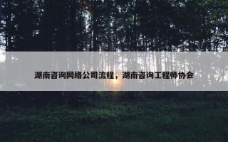 湖南咨询网络公司流程，湖南咨询工程师协会