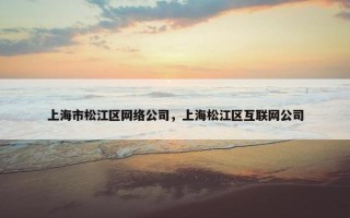 上海市松江区网络公司，上海松江区互联网公司