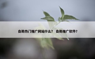 自助热门推广网站什么？ 自助推广软件？