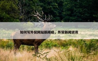如何写外贸网站新闻稿，外贸新闻资讯