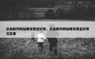 云南制作网站哪家便宜好用，云南制作网站哪家便宜好用又实惠