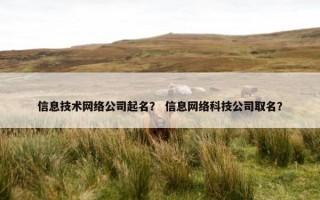 信息技术网络公司起名？ 信息网络科技公司取名？