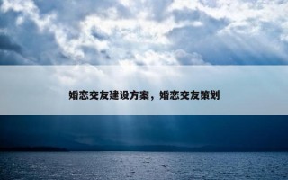 婚恋交友建设方案，婚恋交友策划