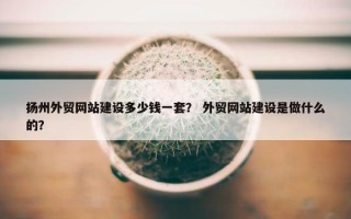 扬州外贸网站建设多少钱一套? 外贸网站建设是做什么的? 扬州外贸网站建设多少钱一套? 外贸网站建设是做什么的?