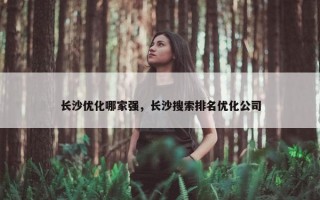 长沙优化哪家强，长沙搜索排名优化公司