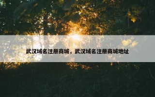 武汉域名注册商城，武汉域名注册商城地址