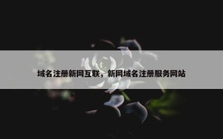 域名注册新网互联，新网域名注册服务网站