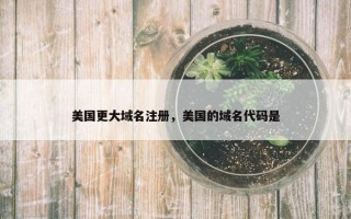 美国更大域名注册，美国的域名代码是