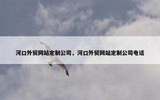 河口外贸网站定制公司，河口外贸网站定制公司电话
