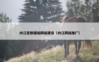 内江定制建站网站建设（内江网站推广）