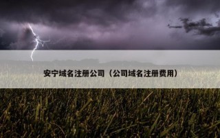 安宁域名注册公司（公司域名注册费用）