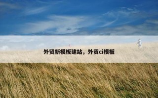 外贸新模板建站，外贸ci模板