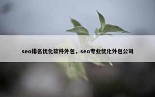 seo排名优化软件外包，seo专业优化外包公司