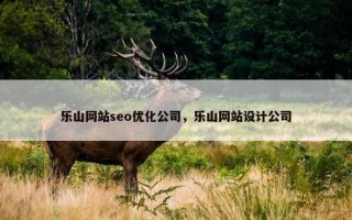 乐山网站seo优化公司，乐山网站设计公司