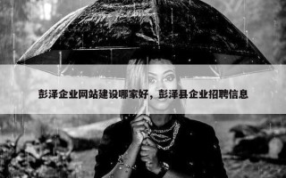 彭泽企业网站建设哪家好，彭泽县企业招聘信息