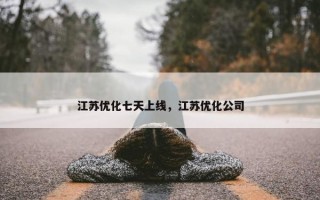 江苏优化七天上线,江苏优化公司 江苏优化七天上线,江苏优化公司