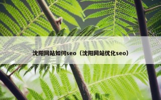 沈阳网站如何seo（沈阳网站优化seo）