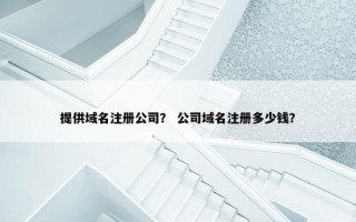 提供域名注册公司？ 公司域名注册多少钱？