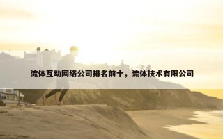 流体互动网络公司排名前十，流体技术有限公司