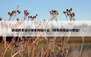 前端网页设计背景网站什么（网页前端设计教程）