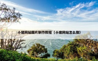 小猪网站图片制作教程（小猪网站怎么做）