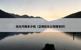 优化代理多少钱（正规优化公司哪家好）