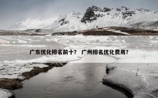 广东优化排名前十？ 广州排名优化费用？
