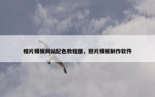 相片模板网站配色教程图，照片模板制作软件