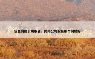 信息网络公司取名，网络公司取名那个网站好