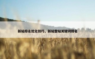 新站排名优化技巧，新站整站关键词排名