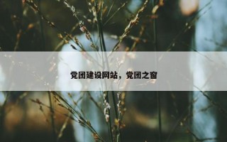 党团建设网站，党团之窗