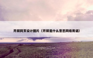 开屏网页设计图片（开屏是什么意思网络用语）