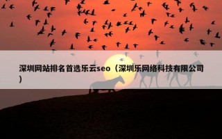 深圳网站排名首选乐云seo（深圳乐网络科技有限公司）