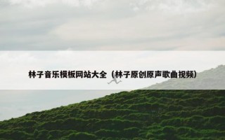 林子音乐模板网站大全（林子原创原声歌曲视频）