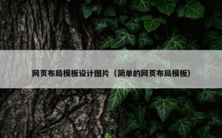 网页布局模板设计图片（简单的网页布局模板）