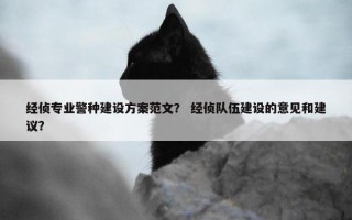 经侦专业警种建设方案范文？ 经侦队伍建设的意见和建议？