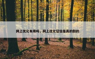 网上优化有用吗，网上优化征信是真的假的