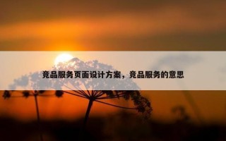 竞品服务页面设计方案，竞品服务的意思