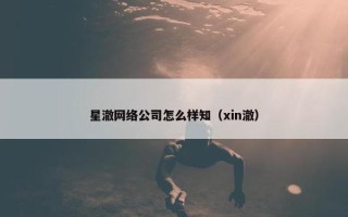 星澈网络公司怎么样知（xin澈）