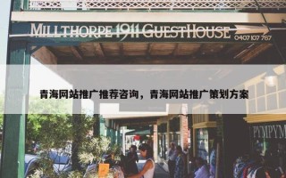 青海网站推广推荐咨询，青海网站推广策划方案