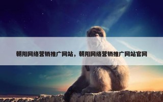 朝阳网络营销推广网站，朝阳网络营销推广网站官网