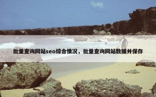批量查询网站seo综合情况，批量查询网站数据并保存