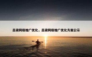 吕梁网络推广优化，吕梁网络推广优化方案公示