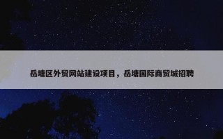 岳塘区外贸网站建设项目，岳塘国际商贸城招聘